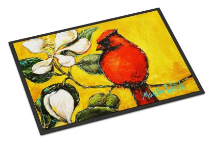 NEW Cardinal Ochre Doormat Front Door Mat Indoor Outdoor Rugs for Entryway, Non Slip Washable Low Pile, 18H X 27W