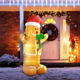 Christmas Snowman (Option: aspicture)